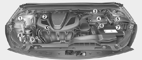 Compartiment-moteur