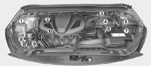 Compartiment-moteur 