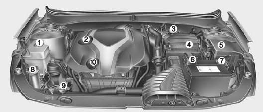 Compartiment-moteur 