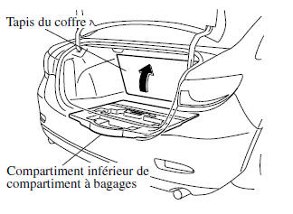 Compartiment inférieur de compartiment à bagages