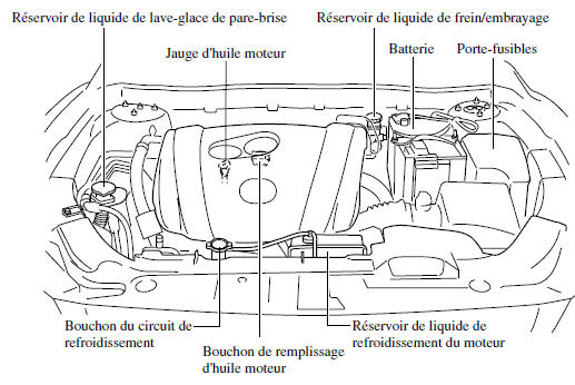 Vue générale du compartiment moteur 