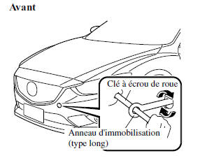 Crochets d'immobilisation