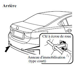 Crochets d'immobilisation