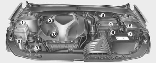 * Le compartiment-moteur du véhicule peut différer de l'illustration.