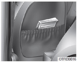 Poche sur le dossier (si équipé)