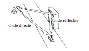 Parasites de pleurage/saut